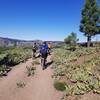 On Our way to Donner Lake Rim Trail.