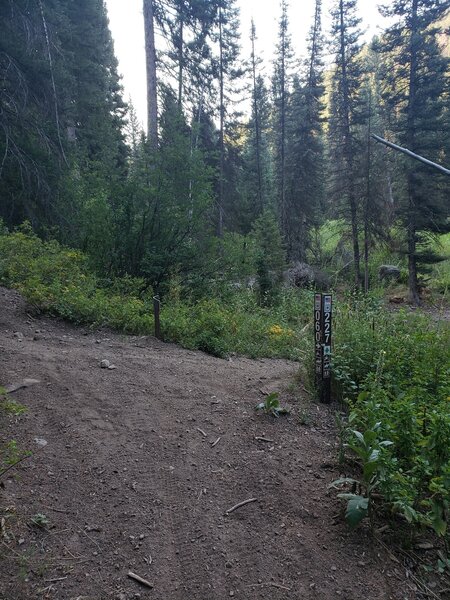 Junction of Forest Service Trails #227 and #060.