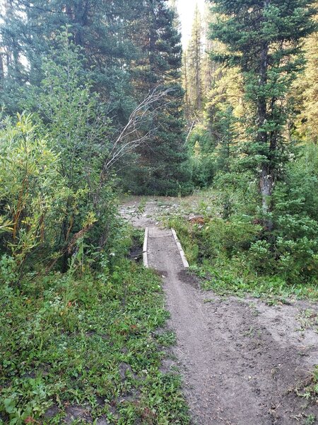 Foot bridge over some springs.