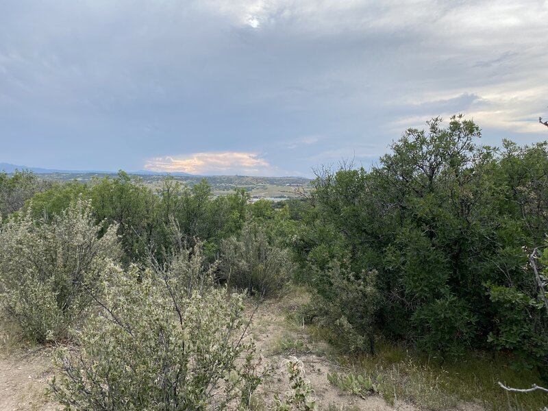 Lots of trees and vegetation.