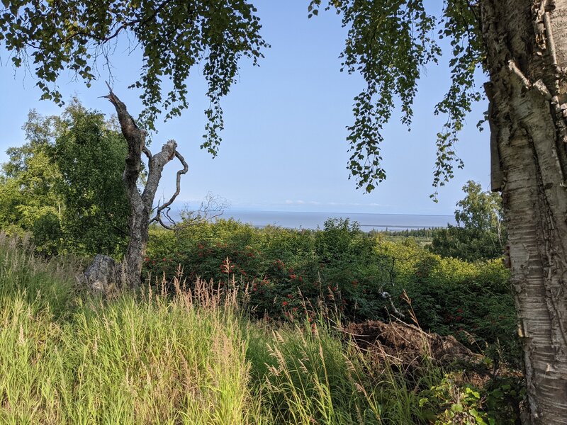 Cook Inlet from Middle Earth