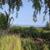 Cook Inlet from Middle Earth