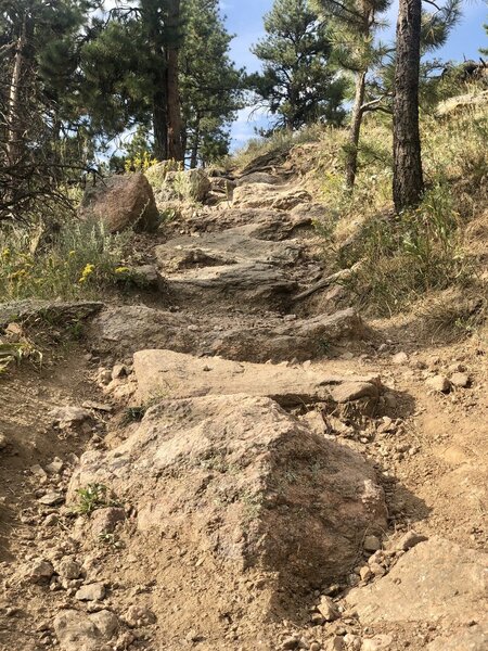 One of many fun techy sections on this descent.