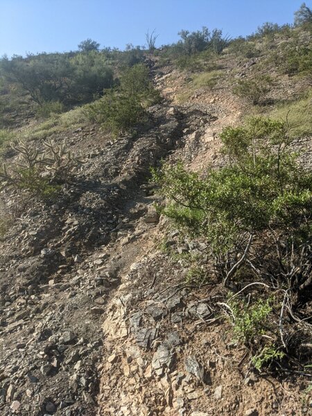 Trail after heavy monsoon rains (Aug. 2021).