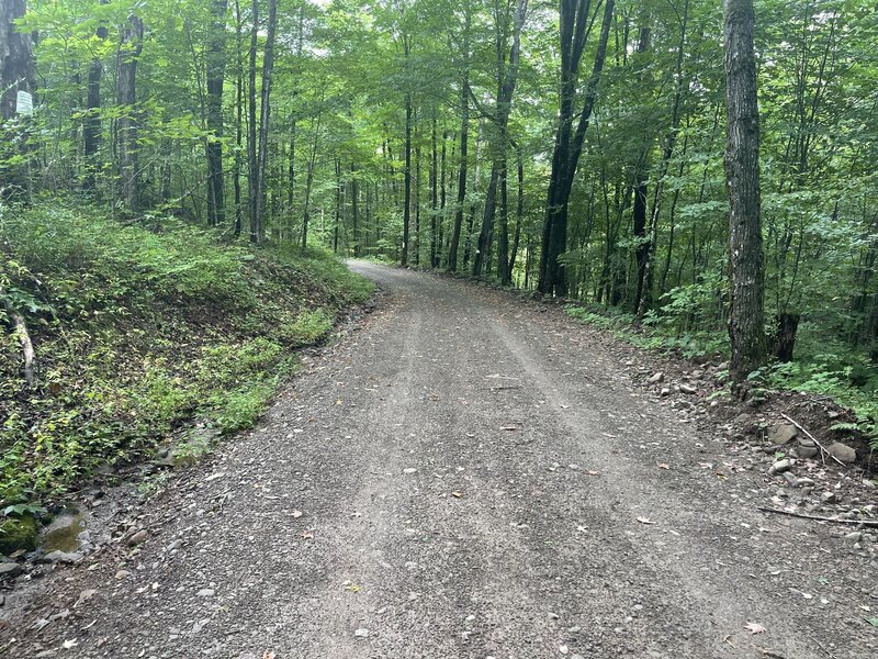 Shin Creek Road climb.