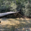 Post TS Fred. Taken 8.24.2021. First footbridge from Turkey Pen Trailhead.