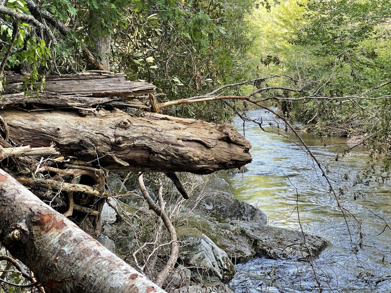 When the creek not only rises but becomes a tsunami. This is a 10' elevation at least. Close up of previous pic.