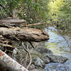 When the creek not only rises but becomes a tsunami. This is a 10' elevation at least. Close up of previous pic.