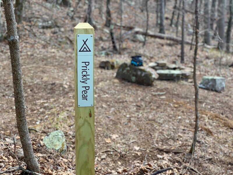 Sign marking the backcountry campsite at the end of the trail.