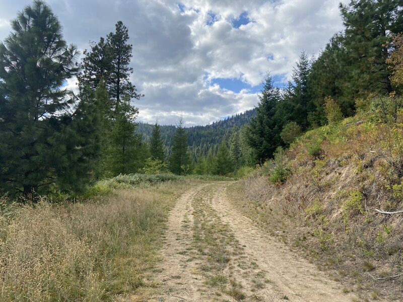 Doubletrack with views of Rathdrum mountain