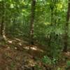 Panorama of the trail on the ridge and the slope down to the river on the right