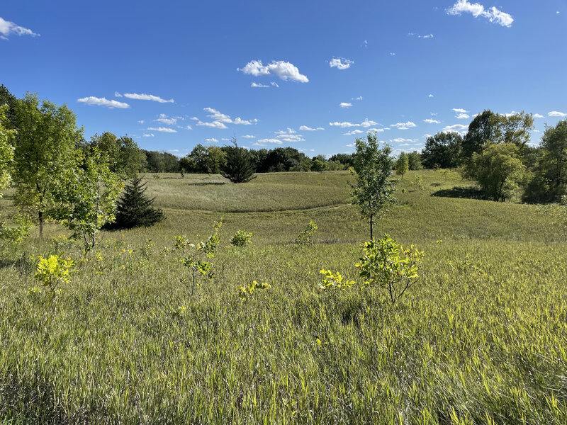 Multiple trails traverse prairie