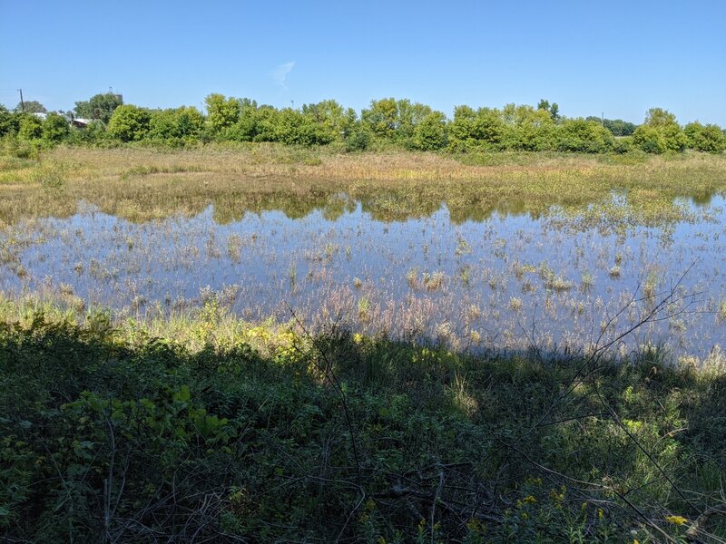Pond View