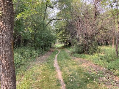A few miles of singletrack