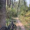 Singletrack along the Missouri River