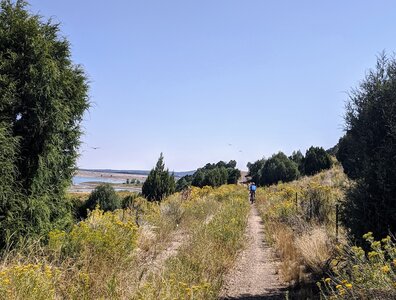 A smooth section of two track