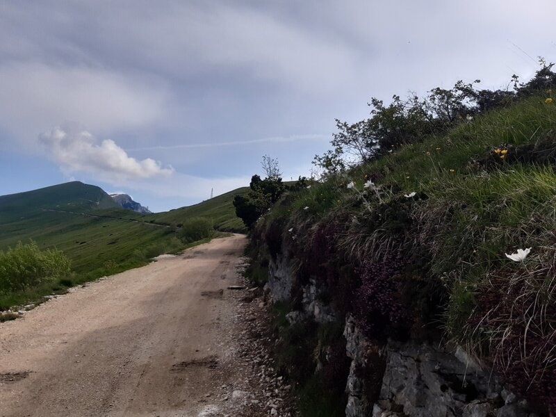 Dirt road to alpin hut "Rifugio Fiori del Baldo"; left: Cimo Costabella (2.053m), back: Passo del Camino (2.121m)