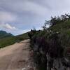 Dirt road to alpin hut "Rifugio Fiori del Baldo"; left: Cimo Costabella (2.053m), back: Passo del Camino (2.121m)