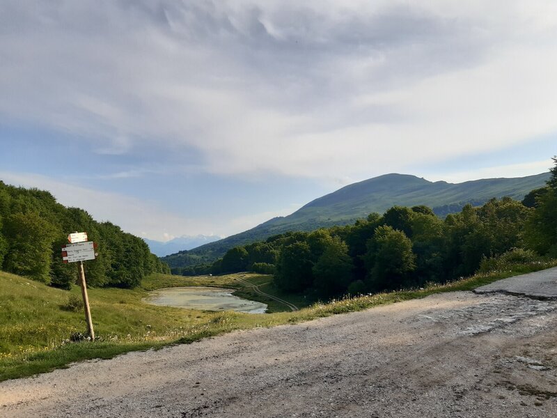 Start of the old military road to Forte Naole at "Cima Mandra" (elev. 1.295m); right: Cima Costabella (2.053m), back: Brenta-Dolomites