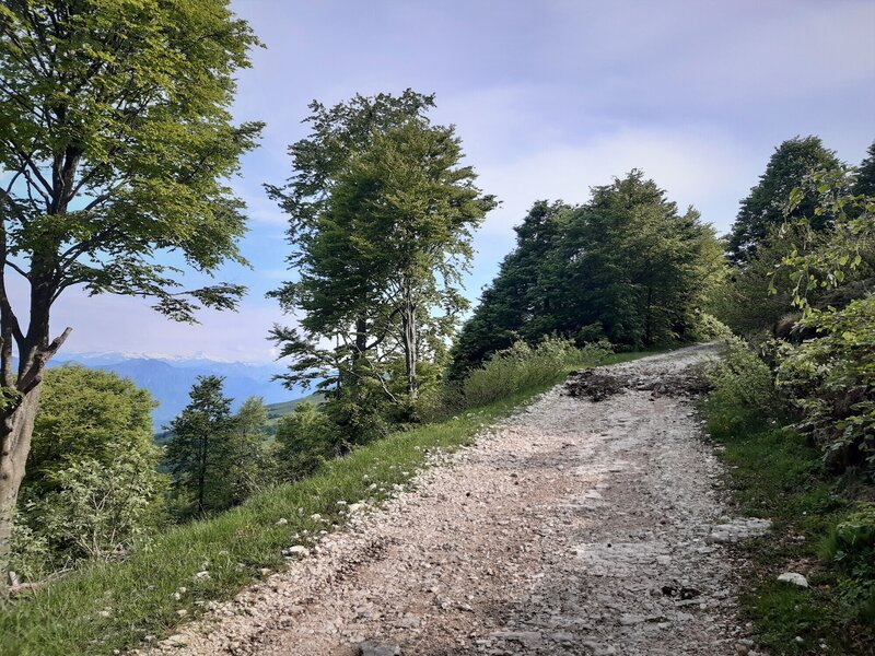 The old military road to Forte Naole