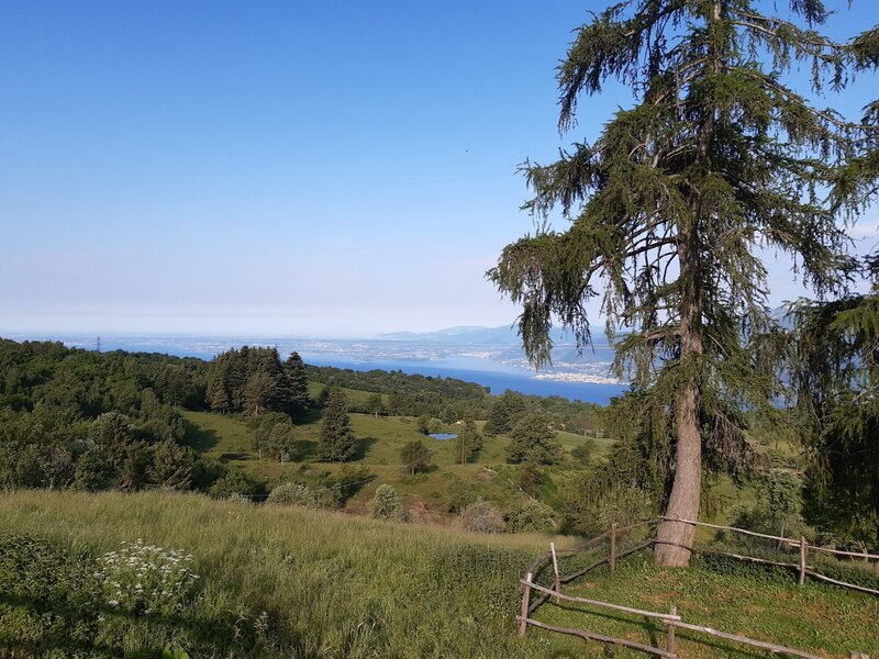 View from "Malga Traure" (elev. 1.100m) down to Lago di Garda