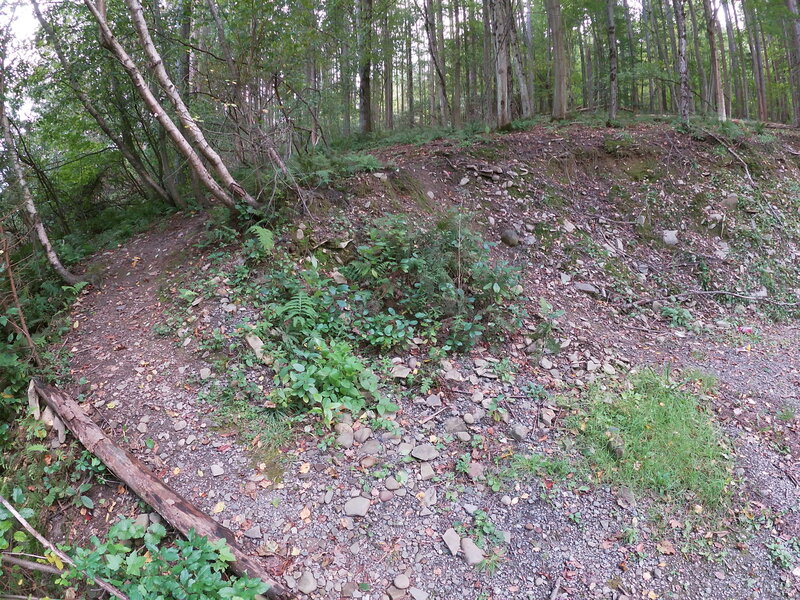 Entrance to Trail from Parking Lot