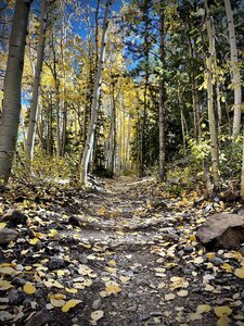 Argentine old railroad grade - gorgeous in the fall!