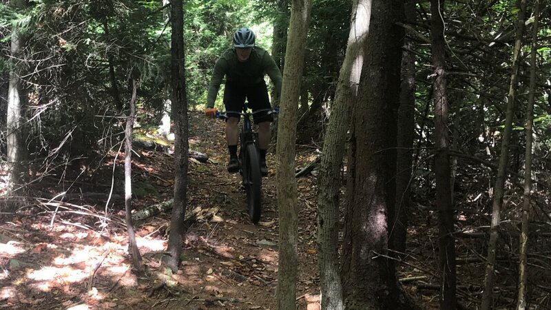 Descending the tight singletrack through the spruce forest.