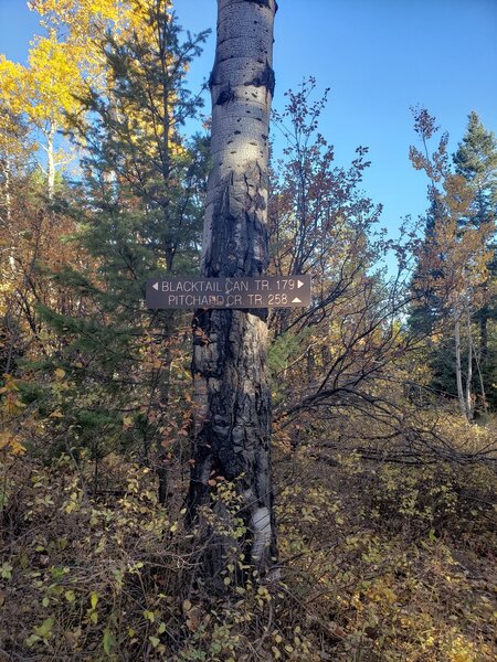 Trailhead sign