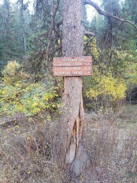 Trail junction sign