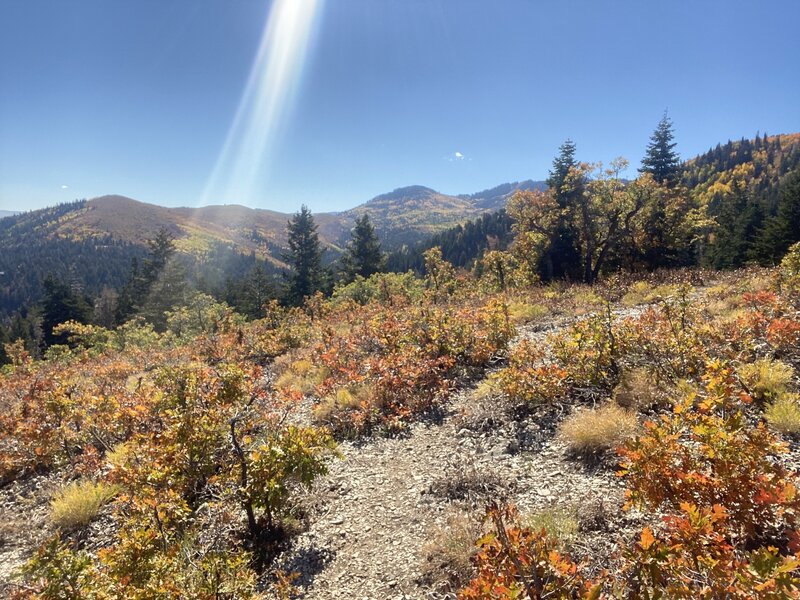 Near top from clockwise loop