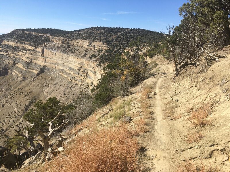 Super cool section around mile 20