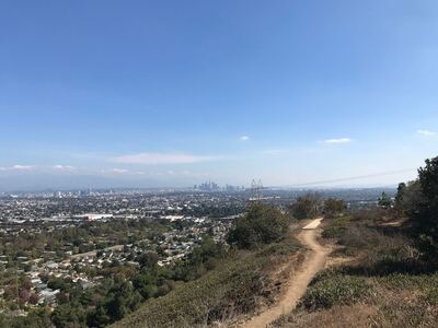 Autumn's Peak City View Trail Outlook to DTLA