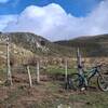 Pasture Gate at Sentiero #622 - the trail is (badly) visible, but well rideable