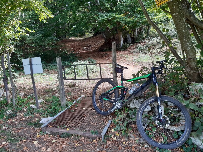 A pasture gate at Sentiero #51, near Malga Zocchi (a flowy part of the trail is good visible)