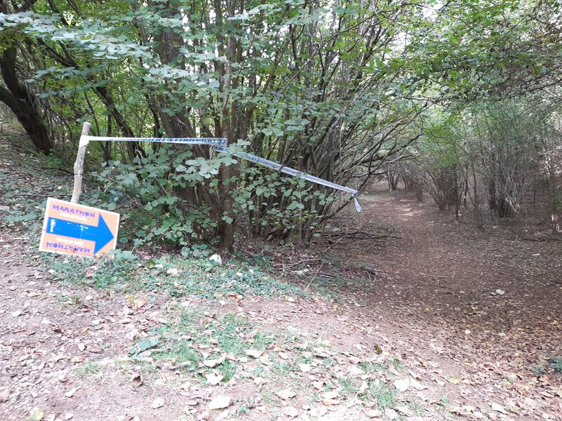 Ziloncello Singletrack (as part of Garda-MTB-Marathon) starts down to your right. The Upper Vadabin Trail continues here left in this photo.