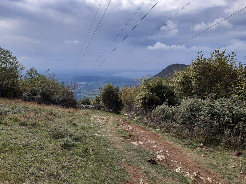 View from the meadows of Valdabin to Lago di Garda, here the Ziloncello Singletrack changes to Fintanorbole Doubletrack