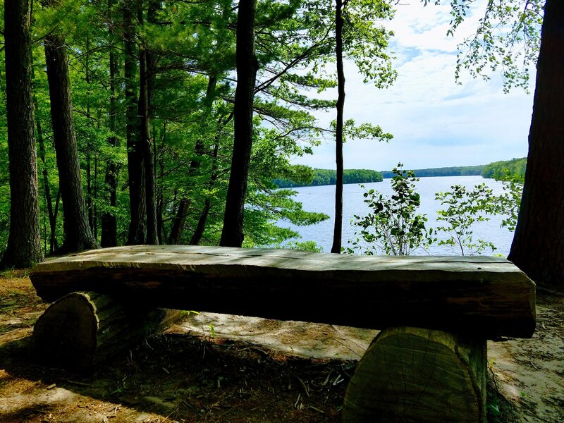 Brower Loop Overlook