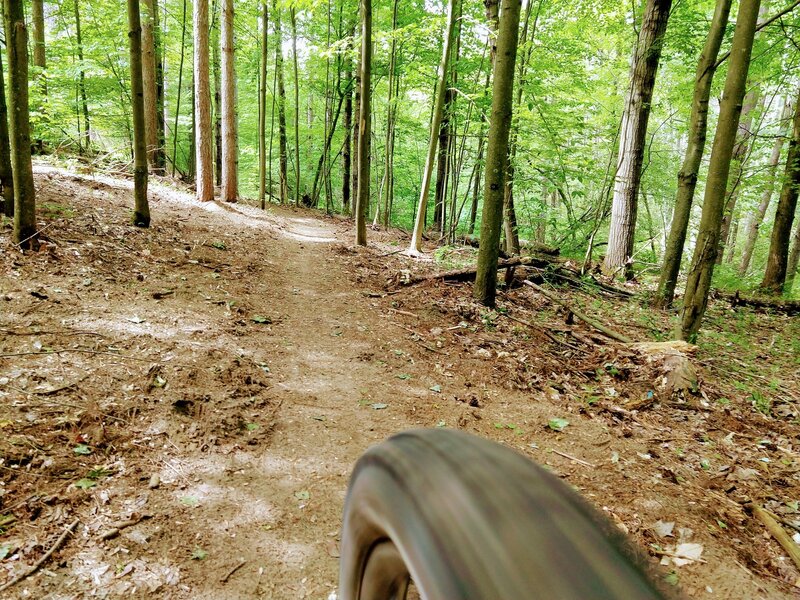 Beautiful SingleTrack