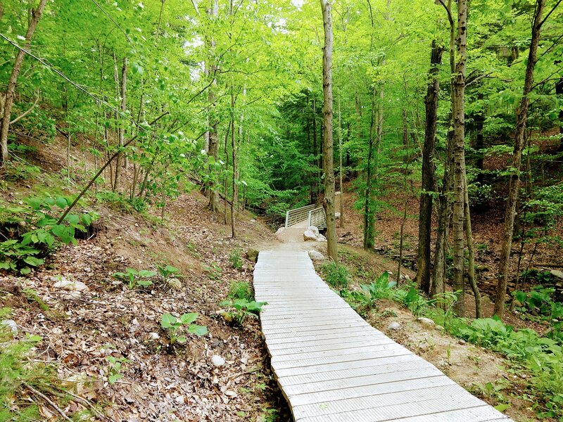 Beginning Brower Loop