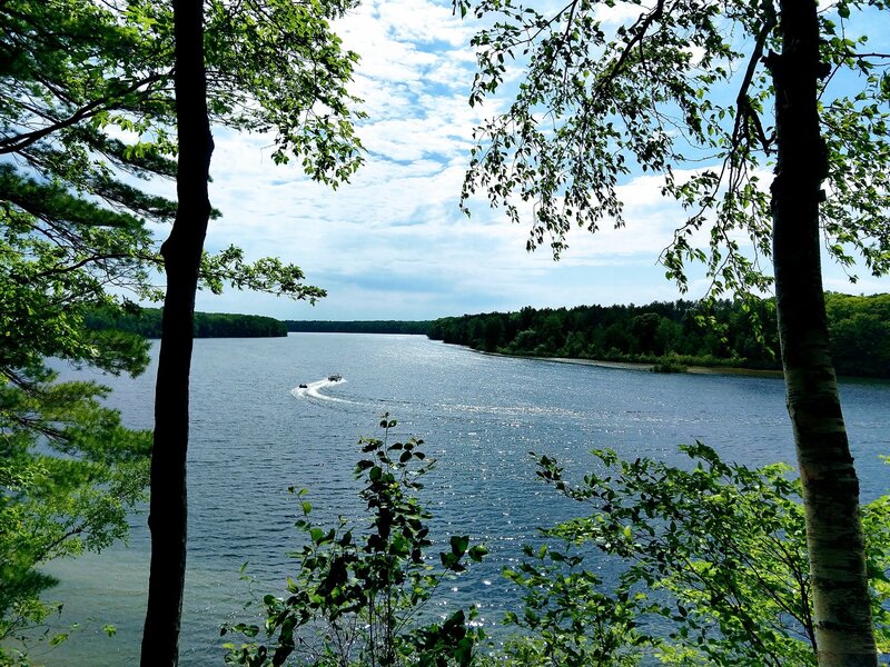 Scenic Overlook on Brower Loop