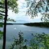 Scenic Overlook on Brower Loop