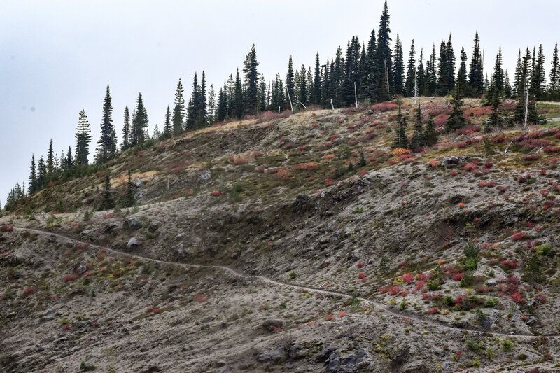 Near Pumice Butte