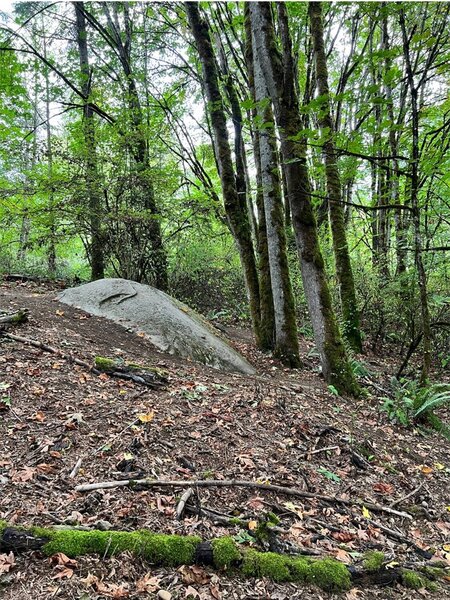 Roughly 8-foot roller on the south side.  Take a look first because on the longer side (right-hand as approaching it), you have to turn right while on the rock to avoid going into the trees there.  Left side has a rut at the bottom.