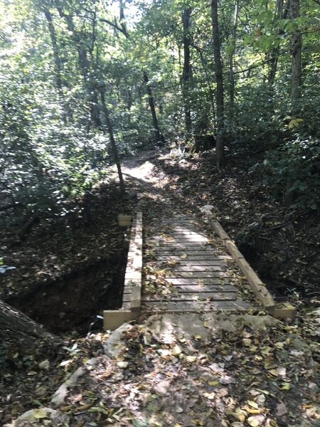 One of many wood bridges on Traverse Trail.