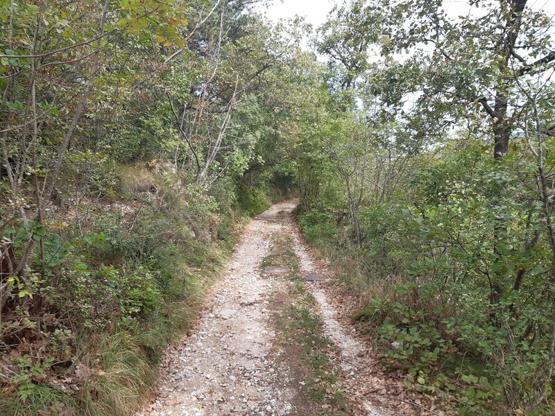 Catelleo Doubletrack, easy riding on gravel outside of Albisano