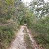 Catelleo Doubletrack, easy riding on gravel outside of Albisano