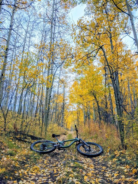 Dodgeton descent in the autumn