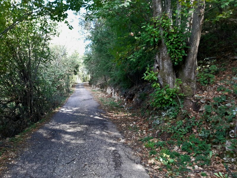 The road to Malga Baito dei Santi (soon it will get really steep).