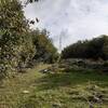 The upper part of the trail "Alpin pastures of La Pra"